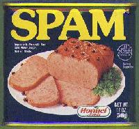 Picture for song 'Spamora' by artist 'Stiff Dick'