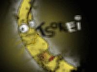 Picture for song 'Tsorei' by artist 'Stijk Physiqckea'