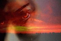 Picture for song 'Devil's Eyes' by artist 'Stirlin'