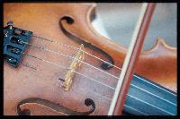 Picture for song 'Moody Violin Beat' by artist 'ST Kilkk'