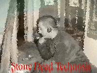 Picture for song 'The Chase' by artist 'Stone Dead Technosis'