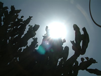 Picture for song 'Windy Isle' by artist 'Stootz'