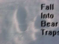 Picture for song 'Anxiously Await [Fall Into Bear Traps]' by artist 'Stop Oscillate'