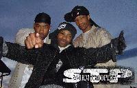 Picture for song 'Stanky' by artist 'Storm Trooperz'