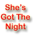 Picture for song 'She's Got The Night' by artist 'Storm (USA)'