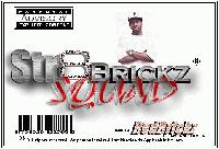 Picture for song 'We tired of it' by artist 'Str8Brickz Squad'