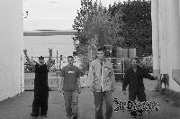 Picture for song 'Power Coffee' by artist 'Str8jackit'