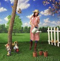 Picture for song 'White Picket Fence' by artist 'Str8jackit'