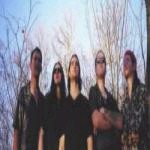 Picture for song 'SUMMER OF' by artist 'Strangedaze'