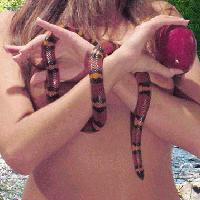 Picture for song 'TOURNIQUET' by artist 'STRANGLEHOLD'