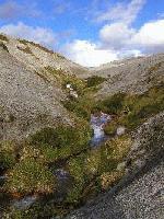 Picture for song 'Life (Rough Collab)' by artist 'Strategik'