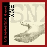 Picture for song 'Leave You Standing' by artist 'Strawberry Nixon'