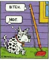 Picture for song 'Who I Am' by artist 'Street Advocates'