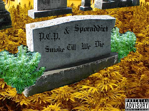 Picture for song 'P.C.P.'s Remixity of - Get that hu$tle' by artist 'Street Change Playaz'