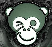 cover pic