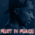 Picture for song 'Dedicated 2 My Homie 2PAC' by artist 'Streetstyle Records'