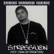 Picture for song 'Strivin' (Remix ft StressWon)' by artist 'StressWon'