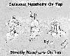 Picture for song 'Fageeta On A Flower Tortila' by artist 'Strictly Nosehairs On Tap'