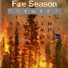 Picture for song 'Fire Season' by artist 'Stringrazor'