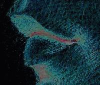 Picture for song 'Lesson of Speech' by artist 'StrykNine'