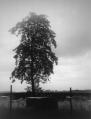 Picture for song 'heartbreak and then...' by artist 'stumpholeband'