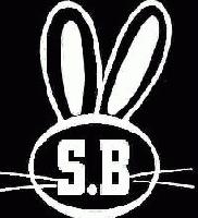 Picture for song 'Safe/Sorry' by artist 'Stunned Bunnies'