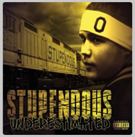 Picture for song 'Life Support' by artist 'Stupendous'