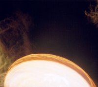 Picture for song 'Song & Dance' by artist 'Stupid Naked Orgy'