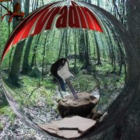 Picture for song 'Gaia (Glam Rock)' by artist 'Stutz'