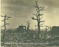 Picture for song 'Me and The Clouds' by artist 'St Vitus Dance'