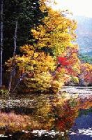 Picture for song 'Autum Season' by artist 'stylus one'