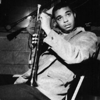 Picture for song 'Skydive' by artist 'stylus one'