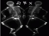 Picture for song 'JUMP' by artist 'SUBB BASS KILLAZ'