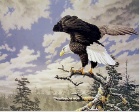 Picture for song 'Organic Soul Flight' by artist 'Subconscious Social Experiment'