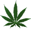 Picture for song 'Jah Replacement feat. haDJi & Doja' by artist 'SUBDIVISION'