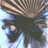Picture for song 'Marna's Song' by artist 'Subliminal Criminals'