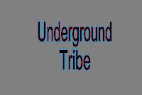 Picture for song 'Undergrond Tribe' by artist 'Sublimited'