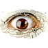 Picture for song ''Conceptualization' [2005]' by artist 'Subvertx'