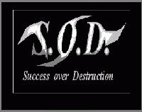 Picture for song 'How many wanna ...' by artist 'Success over Destruction'