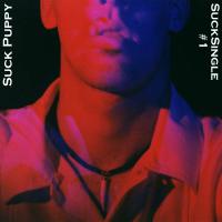 Picture for song 'Song for the Turtles on North Shore' by artist 'Suck Puppy'