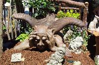 Picture for song 'not good enough' by artist 'sugarfish'