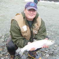 Picture for song 'Sign' by artist 'sugarfish'