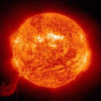 Picture for song 'Summertime' by artist 'sugarfish'