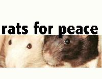 Picture for song 'get me a rose' by artist 'sugar rat'