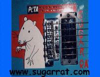 Picture for song 'valerie (you've got me in splinters)' by artist 'sugar rat'