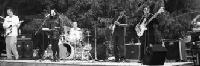 Picture for song 'Silver Horses ((((Live)))' by artist 'SUICIDAL POETS'
