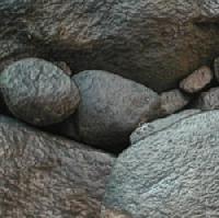 Picture for song 'Contusion' by artist 'Sullys Terrorist Revenge'