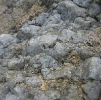 Picture for song 'Minions' by artist 'Sullys Terrorist Revenge'