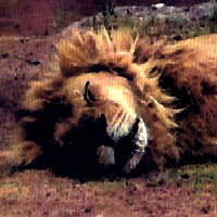 Picture for song 'Sleeping Lions' by artist 'Sunfinger'