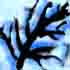 Picture for song 'Synesthetic (feat. Russ Anderson)' by artist 'SuperGreenX'